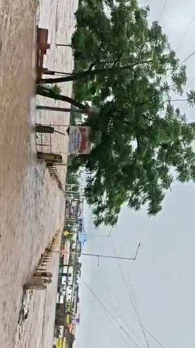 डिंडोरी में नर्मदा नदी उफान पर...
#dindori #narmda