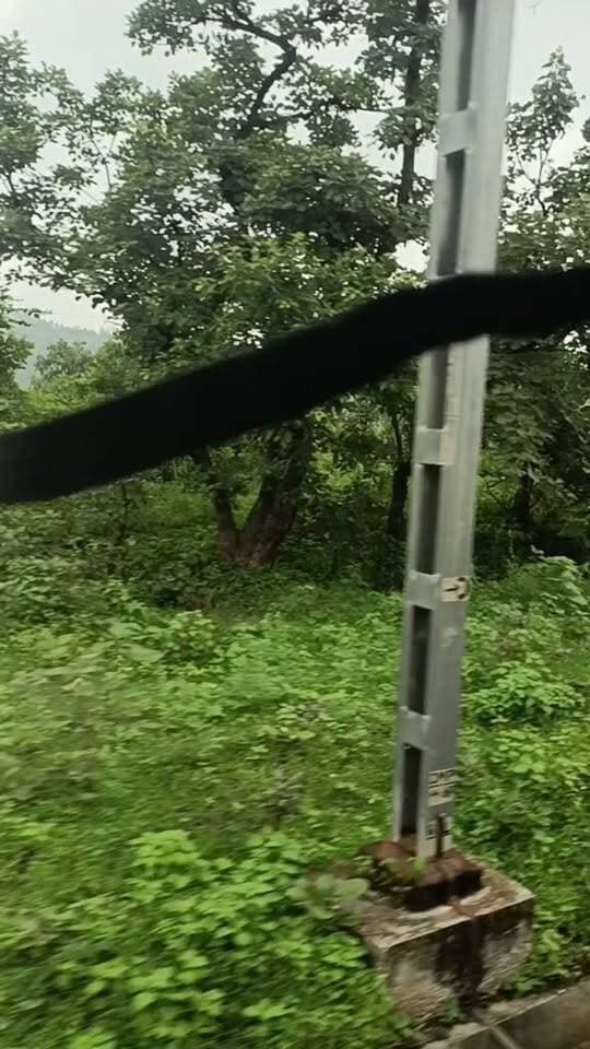 ट्रेन से सफर, पहाड़ों का खूबसूरत नजारा और सुहाना मौसम… 🌧️⛰️🚆
प्रकृति की गोद में सफर का अलग ही आनंद! ❤️✨
#TrainJourney #MountainView #MonsoonVibes #NatureLovers #MadhyaPradesh