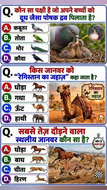 दिमाग घुमा देने वाले GK Questions | Amazing GK Quiz in Hindi