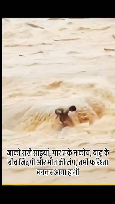 जाको राखे साइयां, मार सके न कोय, बाढ़ के सैलाब में फंसा इंसान, मदद को दौड़ा हाथी वीडियो ने जीता लाखों लोगों का दिल |
breaking news। Elephant Rescue Video, Flood Viral Video, Viral Video
बाढ़ के तेज बहाव के बीच एक शख्स मुश्किल में फंस गया, तभी एक हाथी उसकी मदद के लिए आगे बढ़ता नजर आया। इस भावुक कर देने वाले वीडियो ने सोशल मीडिया पर लोगों का दिल जीत लिया है।
वीडियो में हाथी तेज बहते पानी के बीच शख्स की तरफ बढ़ता दिखाई दे रहा है। हालांकि, वीडियो की लोकेशन और पूरी घटना की स्वतंत्र पुष्टि अभी नहीं हुई है। इसके बावजूद यह वीडियो इंटरनेट पर तेजी से वायरल हो रहा है और लोग हाथी की संवेदनशीलता की जमकर तारीफ कर रहे हैं।
#breakingnews #flood #elephantrescue ...