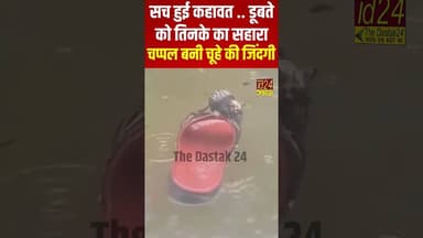 सच हुई कहावत..डुबते को तिनके का सहारा, चप्पल बनी चूहे की जिंदगी #viral #trending #shorts #motivation