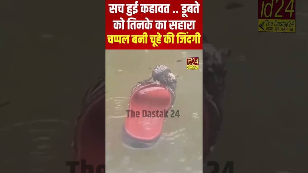 सच हुई कहावत..डुबते को तिनके का सहारा, चप्पल बनी चूहे की जिंदगी #viral #trending #shorts #motivation