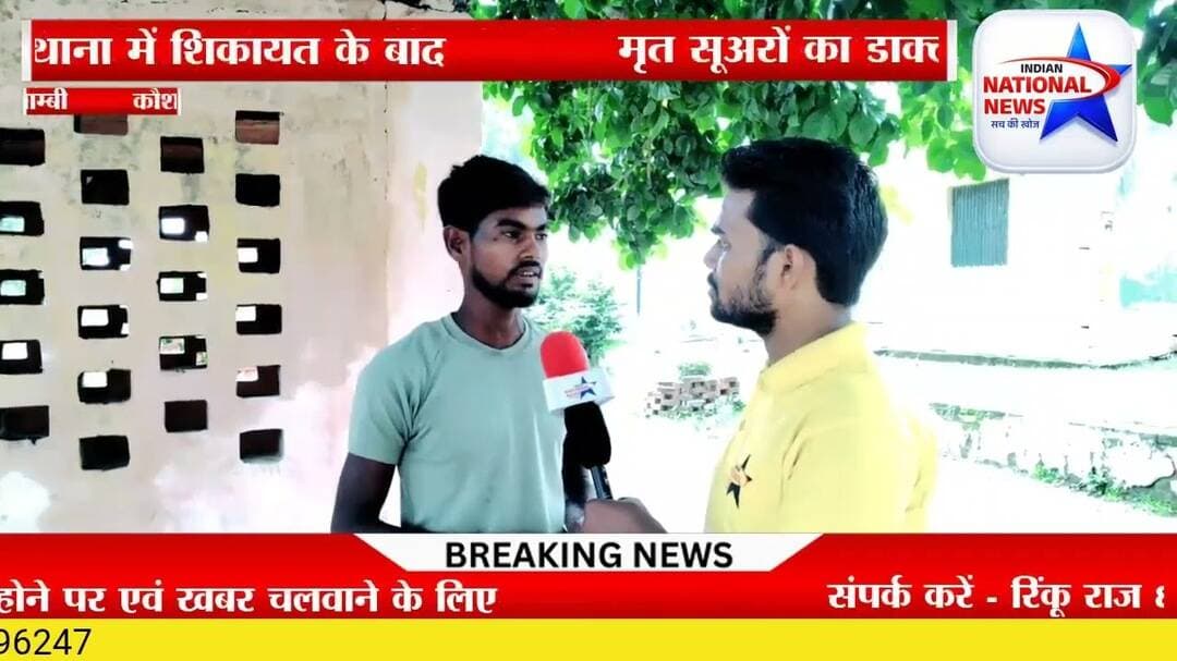 #कौशाम्बी रंजिश को लेकर पीड़ित के सूअर फार्म में विपक्षी ने डाला जहरीला पदार्थ 10 सूअरों की मौत !