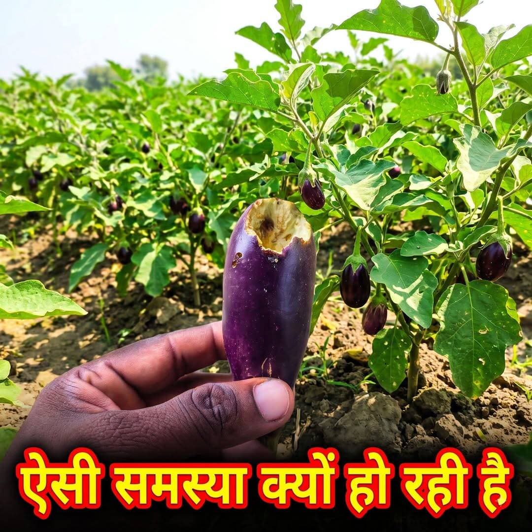 किस कारण हो रहा है?