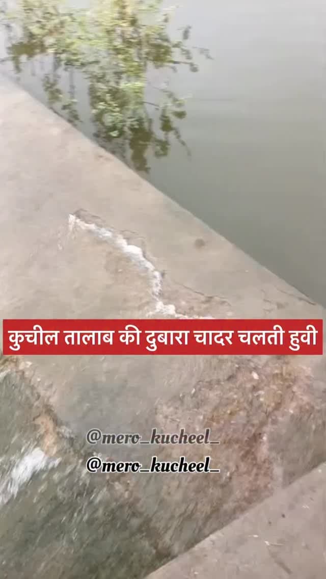 #kucheeltalab