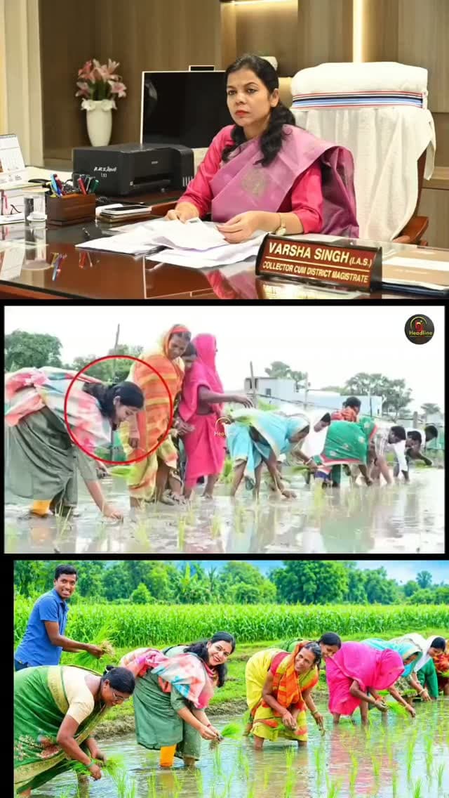जब खेत बनीं डीएम की कर्मभूमि: बिहार वैशाली की जिलाधिकारी ने महिलाओं संग की धान की रोपनी, तस्वीरें हुईं वायरल..