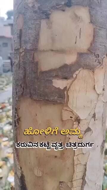 ಚಿತ್ರದುರ್ಗದ ಹೋಳಿಗೆ ಅಮ್ಮ ಆಚರಣೆ #viral #viralvideo #godisgood #god #chitradurga