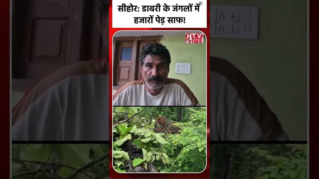 सीहोर डाबरी के जंगलों में हजारों पेड़ साफ!#news #todaynews #shorts #shortsfeed #sehore #ntvtime