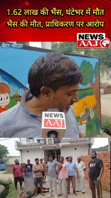 ग्रेटर नोएडा तुस्याना गांव में 1.62 लाख की भैंस की दर्दनाक मौत, खरीदने के महज एक घंटे बाद गहरे नाले में फंसी—प्राधिकरण की लापरवाही पर उठे गंभीर सवाल!#GreaterNoida #Tusyana #GreaterNoidaAuthority #BuffaloDeath #LocalNewsMatters
