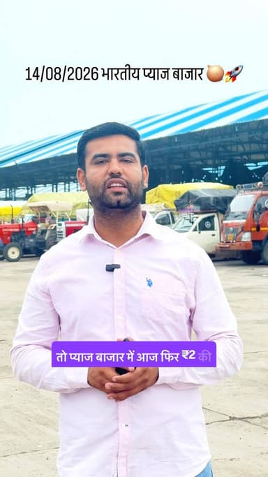 प्याज बाजार में तेजी बरकरार 🧅🚀 today Indian onion market updates ℹ️
#Mandibhav #ratlammandi #kanda #onion #pyajbhav