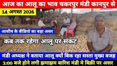 14 अगस्त 2026 // आज का आलू का भाव चकरपुर मंडी कानपुर से कब तक रहेगा आलू पर संकट Aalu Ka Bhav