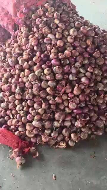 सावन के महीने मे प्याज़ चला तिरछी चाल 200 रूपए का आया उछाल #pyajbhav