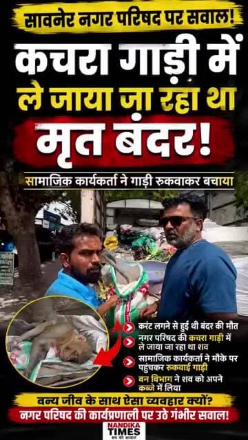 Breaking News: कचरा गाड़ी में ले जाया जा रहा था बंदर का शव! सावनेर नगर परिषद पर उठे सवाल #shorts