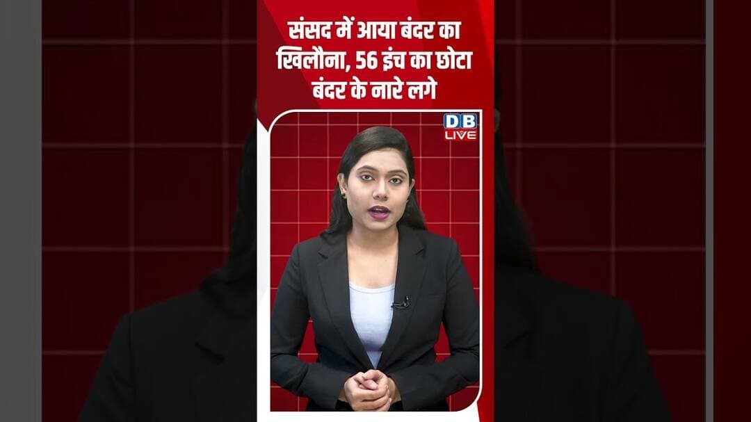 संसद में आया बंदर का खिलौना, 56 इंच का छोटा बंदर के नारे लगे #dblive #sansad #pawankhera #amitshah