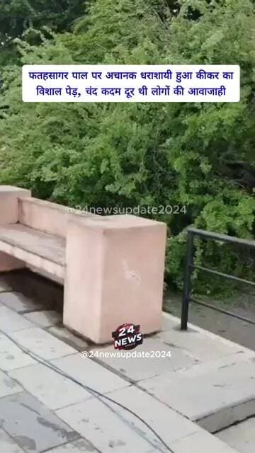 फतहसागर पाल पर अचानक धराशायी हुआ कीकर का विशाल पेड़, चंद कदम दूर थी लोगों की आवाजाही