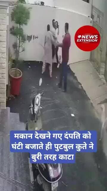 मकान देखने गए दंपति को घंटी बजाते ही पुटबुल कुते ने बुरी तरह काटा #dogbitecases #dogbites