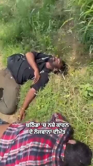 ਇਹ ਹੈ ਗੁਰੂ ਦੋਖੀ Bhagwant Mann ਦਾ ਯੁੱਧ ਨਸ਼ੇ ਵਿਰੁੱਧ❗
ਬਠਿੰਡਾ 'ਚ ਦੋ ਨੌਜਵਾਨਾਂ ਦੀ ਮੌਤ ਦੀ ਇਹ ਵੀਡੀਓ ਦੇਖ ਬਹੁਤ ਦੁੱਖ ਹੋਇਆ❗
ਆਪ ਸਰਕਾਰ ਨੇ ਪਿਛਲੇ 4.5 ਸਾਲਾਂ ਵਿੱਚ ਨਸ਼ੇ ਦੀ ਰੋਕਥਾਮ ਲਈ ਸਿਵਾਏ ਇਸ਼ਤਿਹਾਰਬਾਜੀ ਤੋਂ ਕੁਝ ਨਹੀਂ ਕੀਤਾ❗
ਹਰ ਦਿਨ ਮਾਵਾਂ ਦੇ ਜਵਾਨ ਪੁੱਤ ਨਸ਼ੇ ਦੀ ਭੇਟ ਚੜ੍ਹ ਰਹੇ ਹਨ ਪਰ ਸਰਕਾਰ ਸੁੱਤੀ ਹੋਈ ਹੈ❗
Harpal Cheema ਇਸਨੂੰ ਵੀ ਰਾਜਸਥਾਨ ਦੀ ਵੀਡੀਓ ਨਾ ਆਖ ਦਿਓ❗ ਬੀਬਾ ਹਰਸਿਮਰਤ ਕੌਰ ਬਾਦਲ ਨੇ ਆਪਣੀ ਸੋਸ਼ਲ ਮੀਡੀਆ ਪੇਜ ਤੇ ਸਾਂਝੀ ਕੀਤੀ ਪੋਸਟ