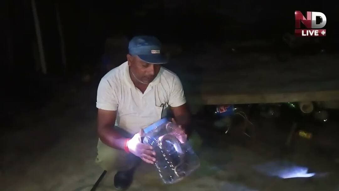 ND Live हमारे बड़े भाई ललित उपाध्याय के घर में निकला विशाल कोबरा सुरक्षित किया गया रेसक्यू #ndlive