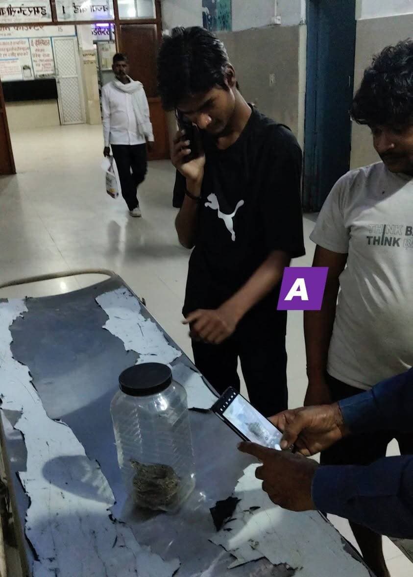 युवक को सांप ने डसा,तो दोस्त जिंदा सांप पकड़ कर ले आया अस्पताल,डॉक्टर भी रह गये हैरान
फर्रुखाबाद में बाढ़ के बीच एक हैरान कर देने वाली घटना सामने आई है। अमृतपुर तहसील क्षेत्र के ग्राम तीसराम की मड़ैया में एक युवक को नाव से उतरते समय सांप ने डस लिया। उसके दोस्त ने सांप को पकड़कर डिब्बे में बंद कर दिया और घायल दोस्त के साथ उसे भी अस्पताल ले आया। अस्पताल में जिंदा सांप को देखकर डॉक्टर भी हैरान रह गए।
यह घटना थाना राजेपुर क्षेत्र के ग्राम तीसराम की मड़ैया की है। लगभग 22 वर्षीय प्रदीप अपने मित्र अनुज के साथ शनिवार देर शाम को नाव से घर लौट रहे थे। उनके गांव में गंगा का बाढ़ का पानी भरा हुआ है और आवागमन का एकमात्र साधन नाव ही है। जब वे गांव के पास पहुंचे और नाव से उतरे, तो बाढ़ के पानी में मौजूद एक सांप ने प्रदीप के पैर में डस लिया।
प्रदीप को सांप के डसने के बाद उसकी हालत बिगड़ने लगी। उसके दोस्त अनुज ने तुरंत सांप को पकड़ लिया और गांव वालों की मदद से उसे एक डिब्बे में बंद कर दिया। इसके बाद, ग्रामीण प्रदीप और डिब्बे में बंद सांप दोनों को लेकर बीती रात जिला अस्पताल लोहिया पहुंचे। लोहिया अस्पताल की इमरजेंसी में डिब्बे में बंद जिंदा सांप को देखकर चिकित्सक भी आश्चर्यचकित रह गए।
जिला अस्पताल लोहिया की इमरजेंसी में तैनात चिकित्सक अभय श्रीवास्तव ने बताया कि प्रदीप को 10 एंटी-स्नेक वेनम इंजेक्शन लगाए गए हैं। उसकी हालत अब स्थिर है और लगातार उसके स्वास्थ्य की निगरानी की जा रही है। उसे अस्पताल में भर्ती कर उपचार दिया जा रहा है।