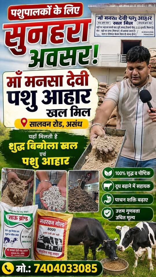 🐄 पशुपालकों के लिए सुनहरा अवसर! 🌾
माँ मनसा देवी पशु आहार खल मिल, असंध पर मिल रही है शुद्ध बिनौला खल एवं पौष्टिक पशु आहार 🐄🐃
📍 सालवन रोड, असंध 📞 8930312940
8930747370 7404033085
#PashuAahar #BinolaKhal #DairyFarming #Pashupalan #assandh