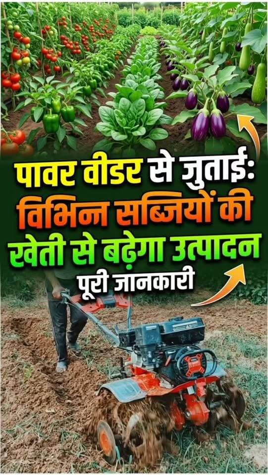 पावर वीडर से जुताई के बाद खेत में विभिन्न सब्जियों की खेती से फसल विविधता व उत्पादन बढ़ेगा। #farminglifetrending_reels_💸kisan_desi🧒_👳❤️ #reels #shortreelvideo🙏❤️ Yogendra Prajapati