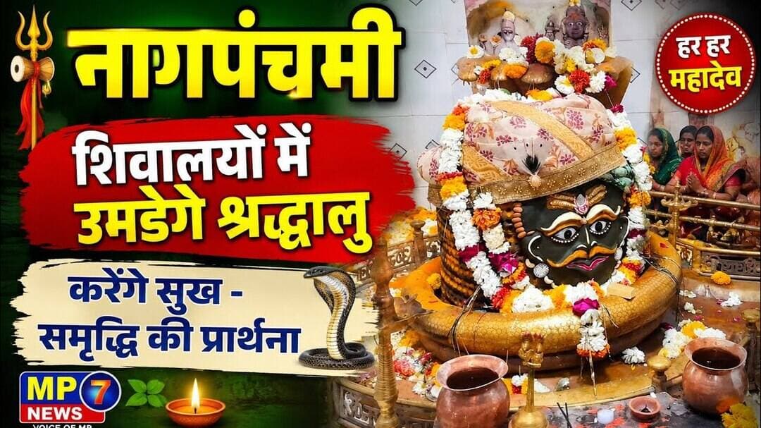 नागपंचमी | शिवालयों में उमडेगे श्रद्धालु | करेगे सुख - समृद्धि की प्रार्थना #naagpanchami #shiwalay