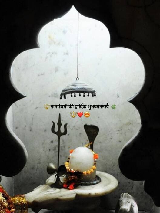 नागपंचमी की हार्दिक शुभकामनाएँ 🔱🌿
Bless your feed with @kashiwala65 be a Banaras addict and make as your dealer.
<nis:link nis:type=tag nis:id=sawan nis:value=sawan nis:enabled=true nis:link/> <nis:link nis:type=tag nis:id=nagpanchmi nis:value=nagpanchmi nis:enabled=true nis:link/> <nis:link nis:type=tag nis:id=mahakal nis:value=mahakal nis:enabled=true nis:link/> <nis:link nis:type=tag nis:id=shiv nis:value=shiv nis:enabled=true nis:link/> <nis:link nis:type=tag nis:id=fypppppppppppppppppppppppppppppppppppppppppppppppppppppppppppppppppppppp nis:value=fypppppppppppppppppppppppppppppppppppppppppppppppppppppppppppppppppppppp nis:enabled=true nis:link/>