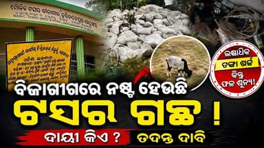 ଟସର ପ୍ଲାଣ୍ଟେସନରେ ଅବ୍ୟବସ୍ଥା! | Lakhs Spent, Trees Missing || First News Odisha