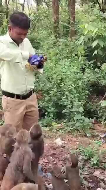 Patki Latehar #shortsviral