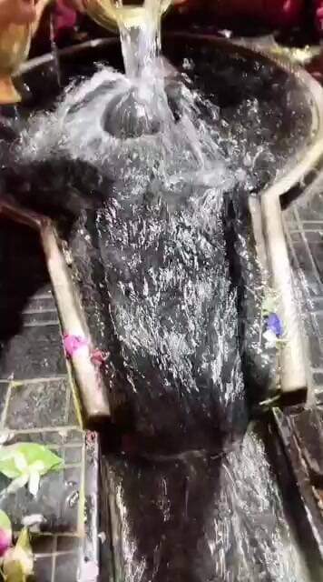 सावन के तीसरे सोमवार पर बाबा बैद्यनाथ का भव्य दर्शन हर-हर महादेव! बोल बम! बाबा बैद्यनाथ की कृपा