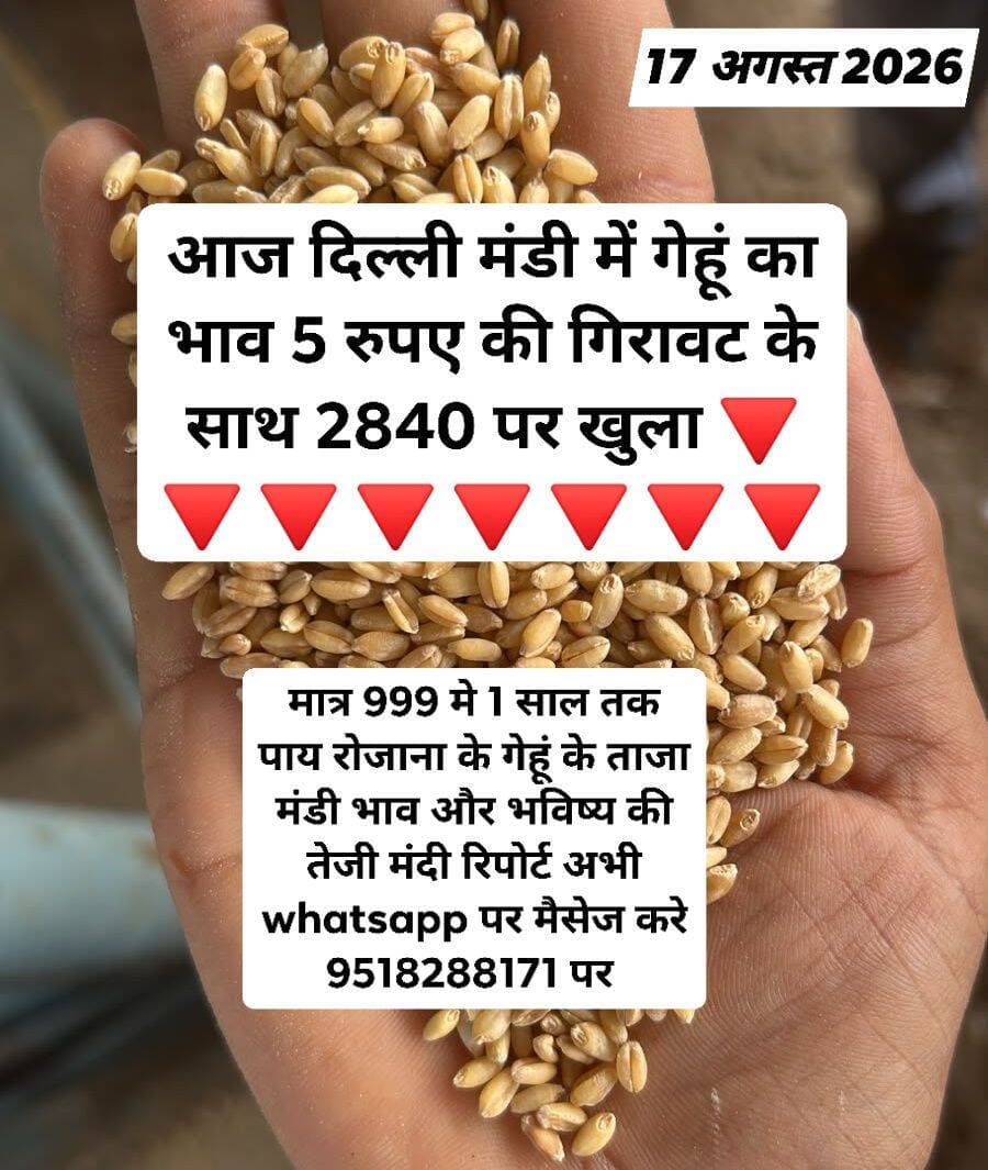 ЁЯФ╗ рджрд┐рд▓реНрд▓реА рдЧреЗрд╣реВрдВ рдЦреБрд▓рд╛ рдЧрд┐рд░рд╛рд╡рдЯ рдХреЗ рд╕рд╛рдеЁЯФ╗
<nis:link nis:type=tag nis:id=рдЧреЗрд╣реВрдВ_рднрд╛рд╡ nis:value=рдЧреЗрд╣реВрдВ_рднрд╛рд╡ nis:enabled=true nis:link/> <nis:link nis:type=tag nis:id=gehunbhav nis:value=GehunBhav nis:enabled=true nis:link/> <nis:link nis:type=tag nis:id=wheatratetoday nis:value=WheatRateToday nis:enabled=true nis:link/> <nis:link nis:type=tag nis:id=wheatmarket nis:value=WheatMarket nis:enabled=true nis:link/> <nis:link nis:type=tag nis:id=wheatprice nis:value=WheatPrice nis:enabled=true nis:link/> <nis:link nis:type=tag nis:id=wheatnews nis:value=WheatNews nis:enabled=true nis:link/> <nis:link nis:type=tag nis:id=wheattrading nis:value=WheatTrading nis:enabled=true nis:link/> <nis:link nis:type=tag nis:id=wheatupdate nis:value=WheatUpdate nis:enabled=true nis:link/> <nis:link nis:type=tag nis:id=wheatanalysis nis:value=WheatAnalysis nis:enabled=true nis:link/> <nis:link nis:type=tag nis:id=wheatreport nis:value=WheatReport nis:enabled=true nis:link/> <nis:link nis:type=tag nis:id=wheatfutures nis:value=WheatFutures nis:enabled=true nis:link/> <nis:link nis:type=tag nis:id=wheatexport nis:value=WheatExport nis:enabled=true nis:link/> <nis:link nis:type=tag nis:id=wheatimport nis:value=WheatImport nis:enabled=true nis:link/> <nis:link nis:type=tag nis:id=wheatcrop nis:value=WheatCrop nis:enabled=true nis:link/> <nis:link nis:type=tag nis:id=wheatharvest nis:value=WheatHarvest nis:enabled=true nis:link/> <nis:link nis:type=tag nis:id=gehunrate nis:value=GehunRate nis:enabled=true nis:link/> <nis:link nis:type=tag nis:id=gehunmarket nis:value=GehunMarket nis:enabled=true nis:link/> <nis:link nis:type=tag nis:id=gehunnews nis:value=GehunNews nis:enabled=true nis:link/> <nis:link nis:type=tag nis:id=gehunupdate nis:value=GehunUpdate nis:enabled=true nis:link/> <nis:link nis:type=tag nis:id=gehunreport nis:value=GehunReport nis:enabled=true nis:link/> <nis:link nis:type=tag nis:id=gehuntrading nis:value=GehunTrading nis:enabled=true nis:link/> <nis:link nis:type=tag nis:id=gehunteji nis:value=GehunTeji nis:enabled=true nis:link/> <nis:link nis:type=tag nis:id=gehunmandi nis:value=GehunMandi nis:enabled=true nis:link/> <nis:link nis:type=tag nis:id=mandibhav nis:value=MandiBhav nis:enabled=true nis:link/> <nis:link nis:type=tag nis:id=marketupdate nis:value=MarketUpdate nis:enabled=true nis:link/> <nis:link nis:type=tag nis:id=commoditymarket nis:value=CommodityMarket nis:enabled=true nis:link/> <nis:link nis:type=tag nis:id=krishinews nis:value=KrishiNews nis:enabled=true nis:link/> <nis:link nis:type=tag nis:id=farmers nis:value=Farmers nis:enabled=true nis:link/> <nis:link nis:type=tag nis:id=agriculture nis:value=Agriculture nis:enabled=true nis:link/> <nis:link nis:type=tag nis:id=krishivyaparservice nis:value=KrishiVyaparService nis:enabled=true nis:link/>