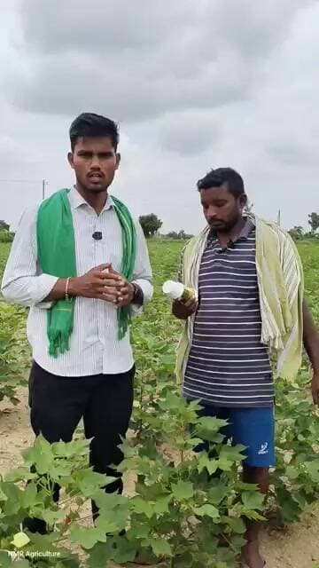 #యువరైతు పత్తి లో కవచ్ cotton crop Kavach pesticide result