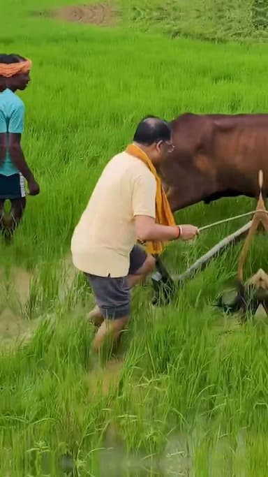 सियासत की हलचल से दूर, आज हाथ में थी हल
मुख्यमंत्री विष्णु देव साय ने गृहग्राम बगिया के खेत में बैलों के साथ हल चलाकर बियासी की।
कुर्सी चाहे कितनी भी बड़ी हो, अपनी माटी तक पहुंचने का रास्ता खेत से होकर ही गुजरता है।
आज खेत में न भाषण था, न मंच—बस मिट्टी, बैल और पुरानी यादें थीं।
#विष्णुदेवसाय #जशपुर #बगिया #छत्तीसगढ़ #खेतीकिसानी #किसान #अपनीमाटी #गांवकीमाटी #हलचलाना #बियासी #ग्रामीणजीवन #कृषिपरंपरा #माटीसेजुड़ाव #Chhattisgarh #Jashpur #VishnuDevSai #Farming #Farmer #VillageLife #IndianFarming