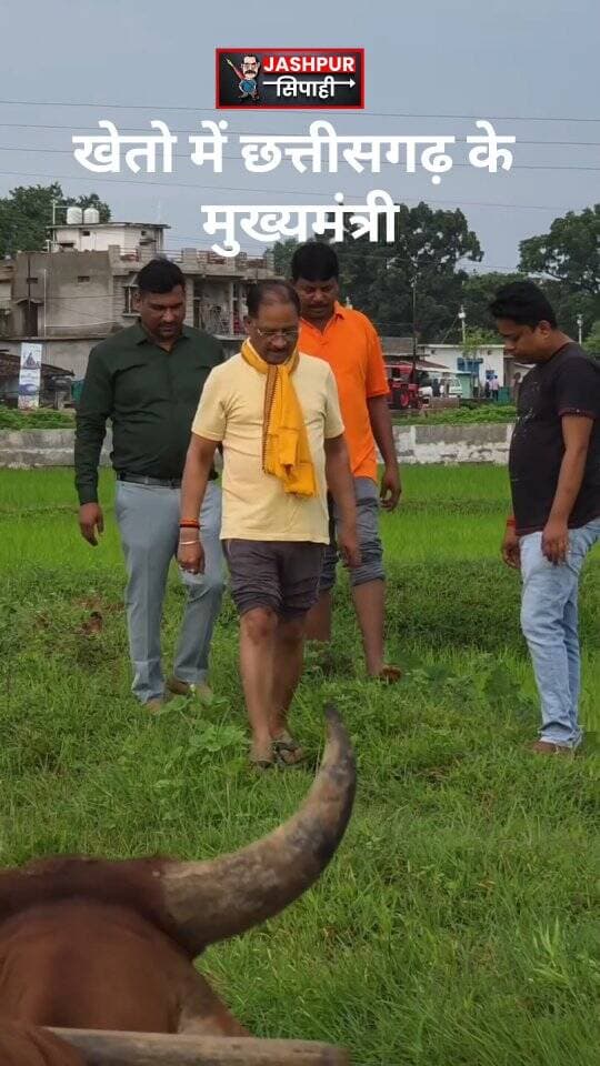 अचानक खेत पहुंचे CM साय! थामा हल, किसानों के साथ करने लगे बियासी 🌾🔥
#विष्णुदेवसाय #मुख्यमंत्रीविष्णुदेवसाय #Chhattisgarh #CGNews #Jashpur JashpurNews किसान किसानी बियासी खेती छत्तीसगढ़ ग्रामीणभारत किसानपुत्र मिट्टीसेजुड़ाव JashpurSipahi