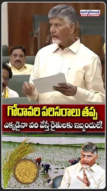వరి వేస్తే రైతులకు ఇబ్బందులే! #chandrababu #agriculture #apassembly #ytshorts #godavari #aadabnews