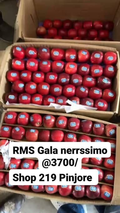 RMS Bakhol Kotkhai рдХреА Gala рдХреА рджреВрд╕рд░реА рдЦреЗрдк KAC Kissan Apple Centre, Shop No. 219, Pinjore Fruit Market рдкрд╣реБрдБрдЪреАред ЁЯЩПЁЯНО
рдФрд░ 18/08/2026, рдордВрдЧрд▓рд╡рд╛рд░ рдХреЛ RMS Bakhol рдХреЗ Nerissimo Gala рдФрд░ Fenplus Gala рдиреЗ Pinjore Mandi рдореЗрдВ тВ╣3,700 рдкреНрд░рддрд┐ рдмреЙрдХреНрд╕ рдХрд╛ рд╢рд╛рдирджрд╛рд░ рд░реЗрдЯ рд╣рд╛рд╕рд┐рд▓ рдХрд┐рдпрд╛ред ЁЯФеЁЯНО
рдпрд╣ рд╕рд┐рд░реНрдл рдПрдХ рд░реЗрдЯ рдирд╣реАрдВ, рдмрд▓реНрдХрд┐ RMS Bakhol Gala рдХреА рдХреНрд╡рд╛рд▓рд┐рдЯреА рдФрд░ Brand Value рдкрд░ рдордВрдбреА рдХреЗ рднрд░реЛрд╕реЗ рдХреА рд╢реБрд░реБрдЖрдд рд╣реИред
рдХреБрдЫ рд╕рдордп рдкрд╣рд▓реЗ рдЬрдм рдкрдВрдЬрд╛рдм рдореЗрдВ RMS Bakhol рдХрд╛ Gala рдЕрдЪреНрдЫреЗ рджрд╛рдо рдкрд░ рдмрд┐рдХрддрд╛ рдерд╛, рддреЛ рдХреБрдЫ рд▓реЛрдЧ рдХрд╣рддреЗ рдереЗтАФтАЬрдЬрдВрдЧрд▓ рдореЗрдВ рдореЛрд░ рдирд╛рдЪрд╛, рджреЗрдЦрд╛ рдХрд┐рд╕рдиреЗ?тАЭ ЁЯШД
рдХреБрдЫ рд▓реЛрдЧреЛрдВ рдиреЗ рддреЛ рдпрд╣ рддрдХ рдХрд╣рд╛ рдХрд┐ рдЖрдврд╝рддрд┐рдпреЛрдВ рдХреЗ рд╕рд╛рде рд╕реЗрдЯрд┐рдВрдЧ рдХрд░рдХреЗ рдЧрд▓рдд рдкрд░реНрдЪреЗ рдмрдирд╛рдП рдЬрд╛рддреЗ рд╣реИрдВред
рдЖрдЬ рдЬрд╡рд╛рдм рдХрд┐рд╕реА рдмрд╣рд╕ рд╕реЗ рдирд╣реАрдВ, рдЧреБрдгрд╡рддреНрддрд╛ рдФрд░ рдЕрд╕рд▓реА рдордВрдбреА рдХреЗ рд░реЗрдЯ рд╕реЗ рдорд┐рд▓ рд░рд╣рд╛ рд╣реИред ЁЯТкЁЯНО
рдЬрд┐рди рджреЛ рд╕реЗрдВрдЯрд░ рднрд╛рдЗрдпреЛрдВ рдХреЛ рдореИрдВрдиреЗ Pinjore Mandi рдореЗрдВ рдЕрдкрдирд╛ Gala рднреЗрдЬрд╛ рд╣реИ, рд╡реЗ рдореБрдЭреЗ рдЕрдЪреНрдЫреА рддрд░рд╣ рдЬрд╛рдирддреЗ рд╣реИрдВред рдореИрдВ рдЦреБрдж рдЖрдЬ рддрдХ Pinjore Mandi рдирд╣реАрдВ рдЧрдпрд╛, рдлрд┐рд░ рднреА рдореЗрд░реЗ рдмрд╛рдЧреАрдЪреЗ рдХреА рдХреНрд╡рд╛рд▓рд┐рдЯреА рд╡рд╣рд╛рдБ рдЕрдкрдиреА рдкрд╣рдЪрд╛рди рдмрдирд╛ рд░рд╣реА рд╣реИред
рдХреНрд╡рд╛рд▓рд┐рдЯреА рд╣рдореЗрд╢рд╛ рд╡рд┐рдирд░ рд╣реЛрддреА рд╣реИтАФрдмрд╕ рдореЗрд╣рдирдд рдЖрдкрдХреЗ рдмрдХреНрд╕реЗ рдореЗрдВ рджрд┐рдЦрд╛рдИ рджреЗрдиреА рдЪрд╛рд╣рд┐рдПред ЁЯФеЁЯНО
рдЗрд╕ рд╡рд┐рд╢реНрд╡рд╛рд╕ рдХреЛ рдордЬрдмреВрдд рдмрдирд╛рдиреЗ рдФрд░ RMS Bakhol Gala рдХреЛ Pinjore Mandi рдореЗрдВ рдкрд╣рдЪрд╛рди рджрд┐рд▓рд╛рдиреЗ рдХреЗ рд▓рд┐рдП Vineet Ramchandani Bhai рдХрд╛ рджрд┐рд▓ рд╕реЗ рдзрдиреНрдпрд╡рд╛рджред ЁЯЩПтЭдя╕П
ЁЯУН KAC Kissan Apple Centre
Shop No. 219, Pinjore Fruit Market, Haryana
RMS Bakhol тАФ Quality тАв Trust тАв Genuine Apple Production ЁЯНОЁЯЩП
#RMSBakhol #NerissimoGala #FenplusGala #FenzemGala #MemaGala16316 #PinjoreMandi #KACKissanAppleCentre #GalaApple #HimachalApple #QualityApple #AppleMarket #RMSBrand