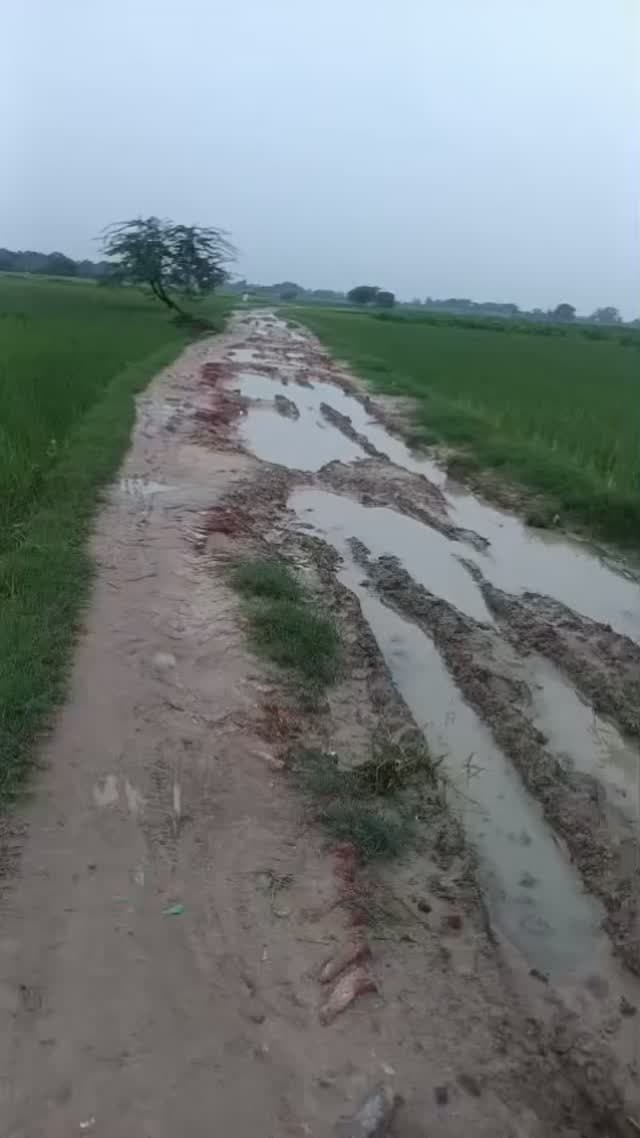 *#उन्नाव*। सावन की बारिश के बाद *ग्राम पंचायत पोहपी खेड़ा से रामदीन खेड़ा तक जाने वाले मुख्य मार्ग* की हालत बद से बदतर हो गई है। सड़क पर बने बड़े-बड़े गड्ढे झील में तब्दील हो गए हैं। जिससे स्कूली बच्चों, किसानों और राहगीरों को आने-जाने में भारी परेशानी का सामना करना पड़ रहा है।
*"गड्ढे या तालाब, समझ नहीं आ रहा"*
पोहपी खेड़ा से रामदीन खेड़ा को जोड़ने वाली ये सड़क कई गांवों की लाइफलाइन है। लेकिन पिछले कई सालों से मरम्मत न होने के कारण सड़क पर जगह-जगह 2-3 फीट गहरे गड्ढे बन गए हैं। बारिश का पानी भर जाने से अब ये गड्ढे दिखाई भी नहीं दे रहे। वाहन चालकों को अंदाजा ही नहीं लगता और गाड़ी सीधे गड्ढे में चली जाती है।
*स्कूली बच्चे और राहगीर परेशान*
इस मार्ग से होकर दर्जनों गांवों के बच्चे स्कूल-कॉलेज जाते हैं। कीचड़ और पानी भरे गड्ढों के कारण बच्चों के कपड़े और जूते रोजाना खराब हो जाते हैं। कई बार बाइक सवार और साइकिल वाले गड्ढे में गिरकर चोटिल भी हो चुके हैं�