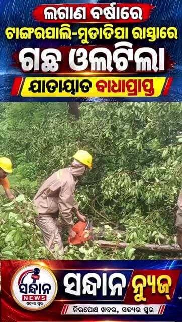 BREKING NEWS # #sandhannews #news #odianews #regionalnews #sundargarh
