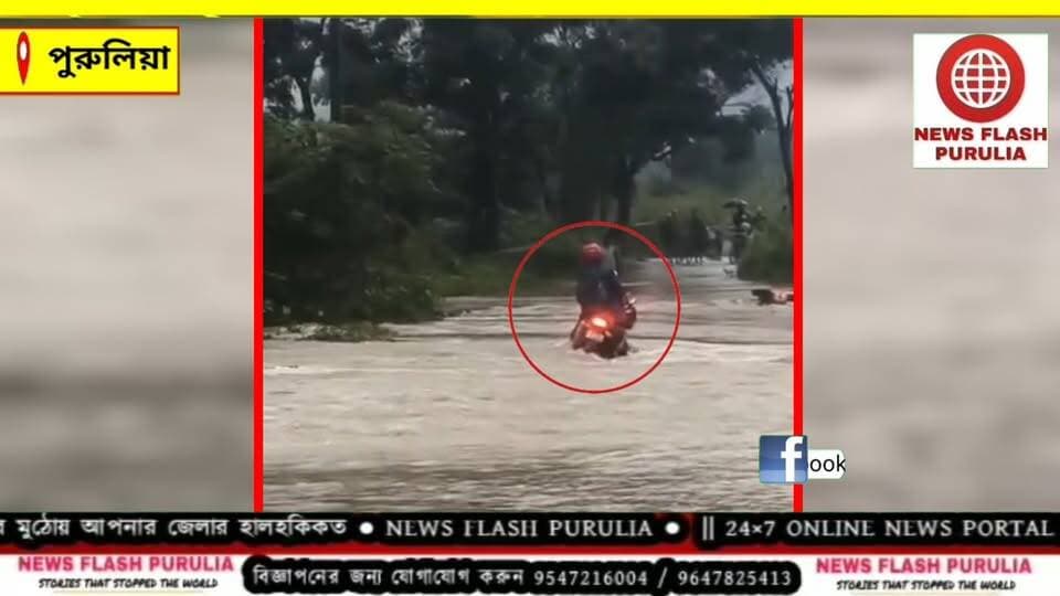 পুরুলিয়ায় নদীতে ভেসে যাচ্ছে মোটর বাইক সহ আরোহী। টানা বৃষ্টিতে জলমগ্ন পুরুলিয়া। সাঁতুড়ির কোটালডি এলাকায় জলের তলায় সেতু।