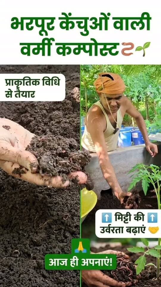 🌱 प्राकृतिक विधि से तैयार वर्मी कम्पोस्ट। 🪱 इसमें भरपूर केंचुए हैं, जो मिट्टी की उर्वरता बढ़ाते हैं। 🙏 #farminglifetrending_reels_💸kisan_desi🧒_👳❤️ #shortreelvideo🙏❤️ #reelvideo Yogendra Prajapati