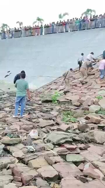 इटहिया शिव मंदिर से दर्शन कर लौटते समय नहाने के लिए रोहिन बैराज में उतरे थे दोनों...