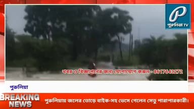 সেতু পার হতে গিয়ে বিপত্তি! প্রবল জলের তোড়ে বাইক-সহ ভেসে গেলেন ব্যক্তি।
#PuruliaTV #PuruliaNews #Santuri #SanturiNews #Purulia #WestBengal #HeavyRainfall #RainAlert #Waterlogging #FloodSituation #BridgeAccident #BikeWashedAway #MonsoonRain #RainNews #LocalNews #PuruliaDistrict