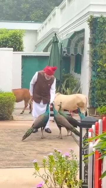 Feeding my friends every morning is a daily routine.
Yesterday morning, they somehow realised I’m leaving early so they came to meet me as I was leaving for the Red Fort.
Special, as always!.....