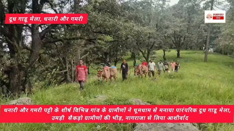धनारी और गमरी पट्टी के शीर्ष पर विभिन्न गांव के ग्रामीणों ने धूमधाम से मनाया पारंपरिक दूध गाडू मेला..उमड़ी सैकड़ो ग्रामीणों की भीड़, नागराजा से लिया आशीर्वाद.. @highlight #newarrivals #foodoftheday #fitnesstransformation