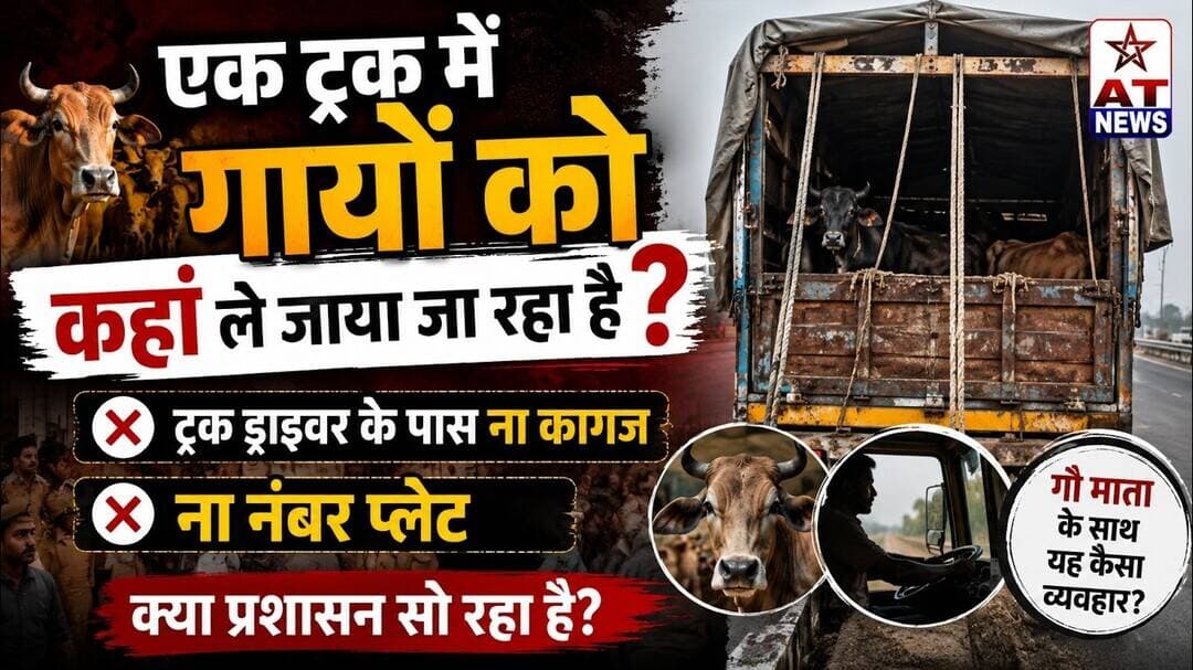 AT_NEWS | ट्रक में गायों को कहां ले जाया जा रहा है| #atnews #aligarhnews #cowcrossing #viral #update