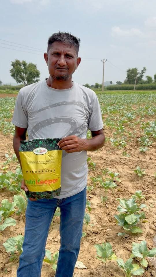 गोभी में आयेगा न्यूट्रीकीपर का शानदार 👌 रिजल्ट
#nutrikeeper #reel #agriculture