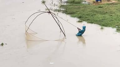 ବନ୍ୟା ସମୟର କିଛି ଅଭୁଲା ଦୃଶ୍ୟ ....