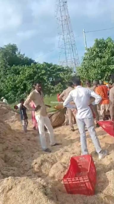 गोंडा में तरबगंज के अइली परसौली बाढ़ प्रभावित क्षेत्र में पुलिस की मौजूदगी में कुछ इस तरह बांटा गया भूसा