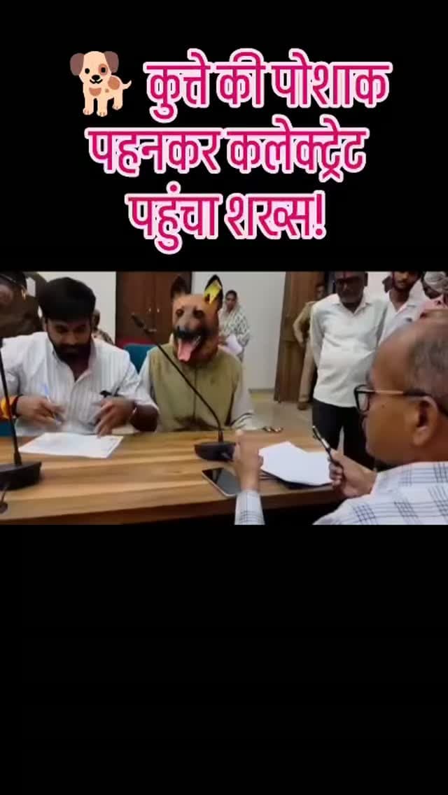 🐕 कुत्ते की पोशाक पहनकर कलेक्ट्रेट पहुंचा शख्स!
खंडवा में आवारा कुत्तों के बढ़ते आतंक के विरोध में एक व्यक्ति अनोखे अंदाज में कुत्ते की पोशाक पहनकर कलेक्ट्रेट पहुंच गया। विरोध का यह तरीका लोगों के बीच चर्चा का विषय बन गया। प्रदर्शनकारी ने प्रशासन से आवारा कुत्तों की समस्या पर ठोस कार्रवाई की मांग की।
#खंडवा, #आवारा_कुत्ते, #कलेक्ट्रेट, #विरोध_प्रदर्शन, #मध्यप्रदेश, वायरल_खबर,