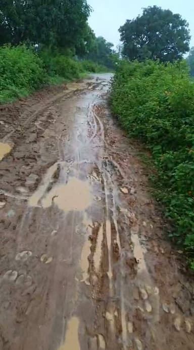 भाजपा का विकास बह रहा है,
गांव के आदिवासियों की जमीन लेकर बिड़ला माइंस रोजाना हजारों टन कोयला उत्खनन कर रही है लेकिन उसी गांव वालो को एक अच्छी सड़क तक मुहैया नहीं करा पा रही है बस CSR के नाम पर अपने चहेते नेताओं की जेब गर्म कर रही है ताकि उनका काम सही से चलते रहे।
"अपना काम बनता , अम्मा ₹&@ जनता" 😂